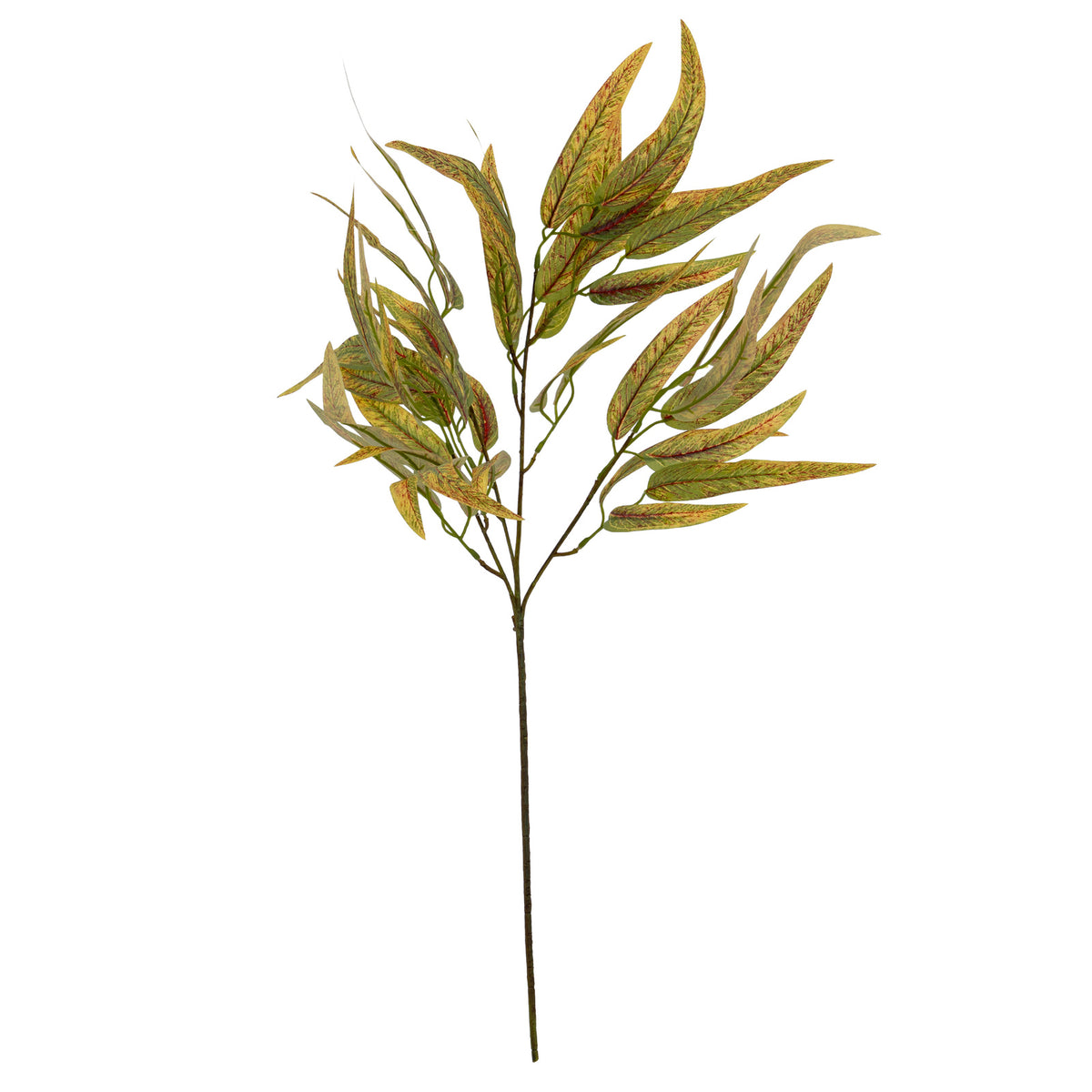Variegated Long Leaf Eucalyptus Spray image 3