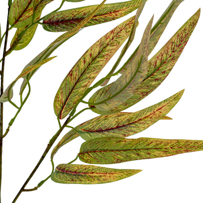 Variegated Long Leaf Eucalyptus Spray image 4