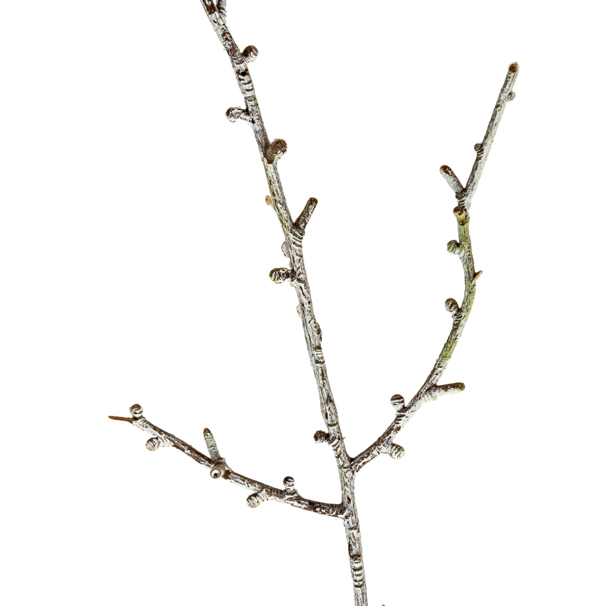 Snowy Winter Woodland Branch image 2