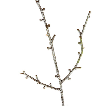 Snowy Winter Woodland Branch image 2