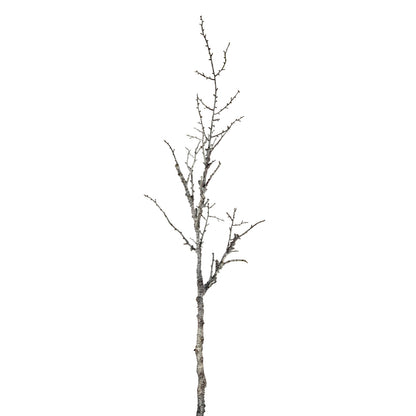 Snowy Winter Woodland Branch image 1