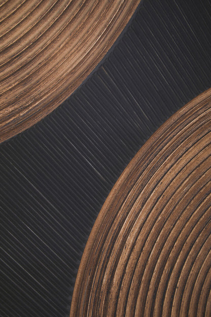 Erilio Black And Brown Wall Art