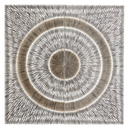 Pavitivo Silver Wood Carving Wall Art