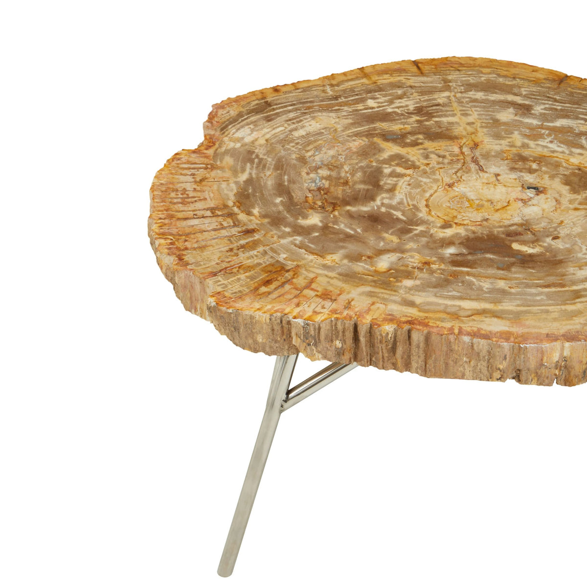 Bagnoregio Natural Petrified Coffee Table image 7