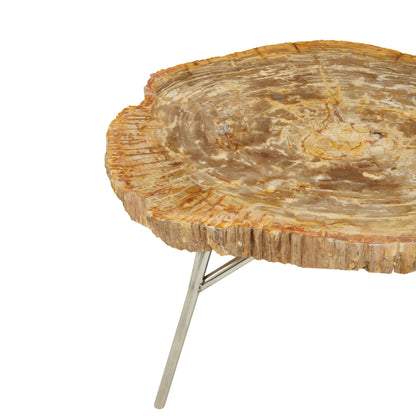 Bagnoregio Natural Petrified Coffee Table image 7