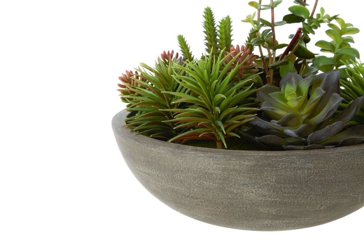 Froya Mixed Succulent Stone Pot