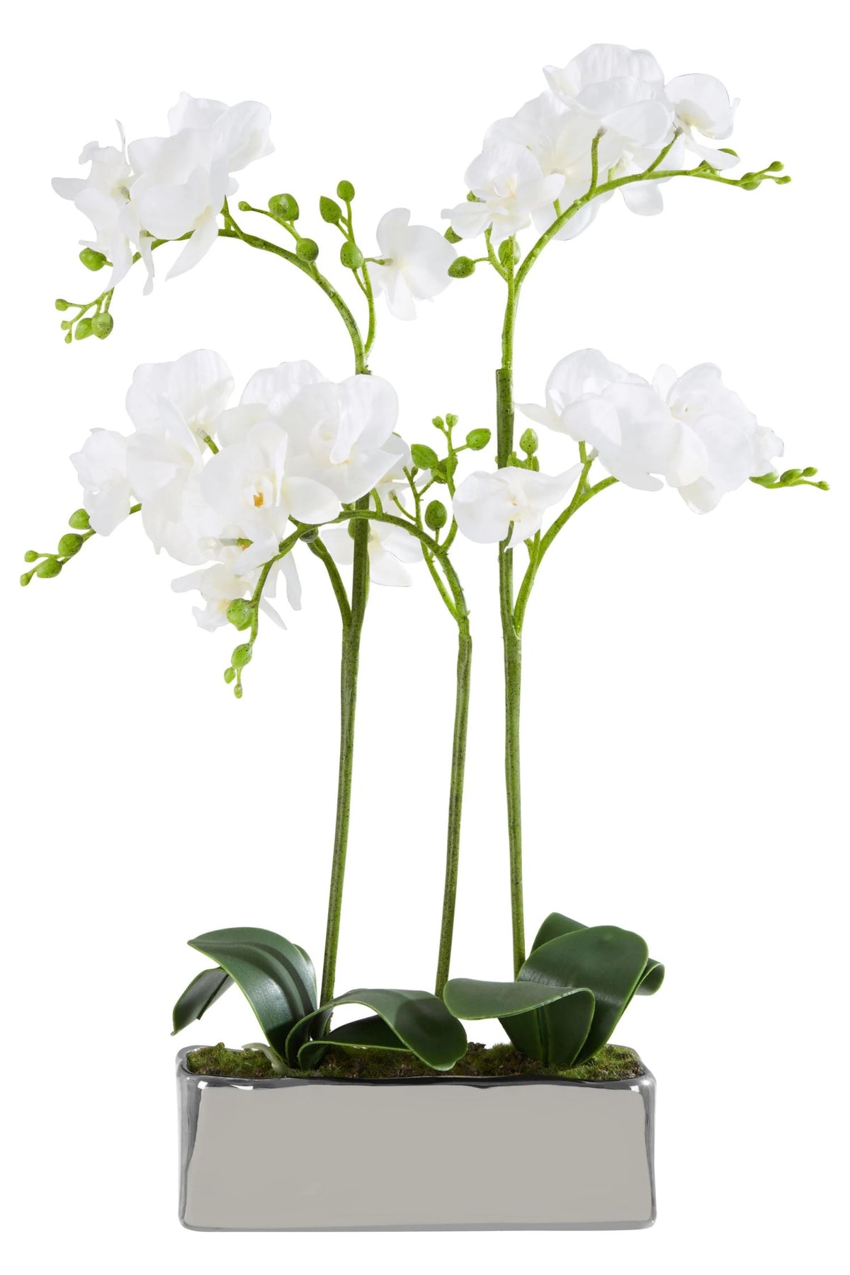 Gjovik White Orchid Plant Rectangular Pot