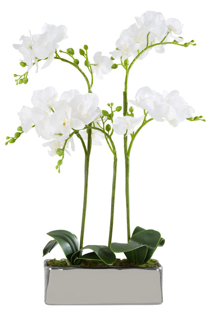 Gjovik White Orchid Plant Rectangular Pot