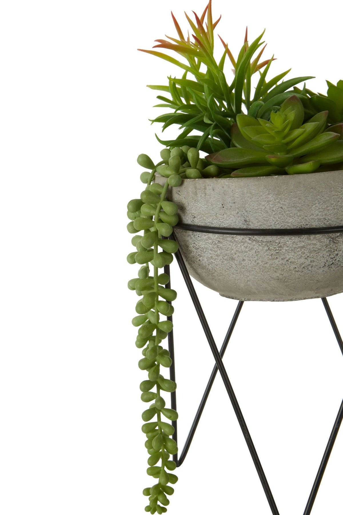 Gavelle Mixed Succulent Metal Stand