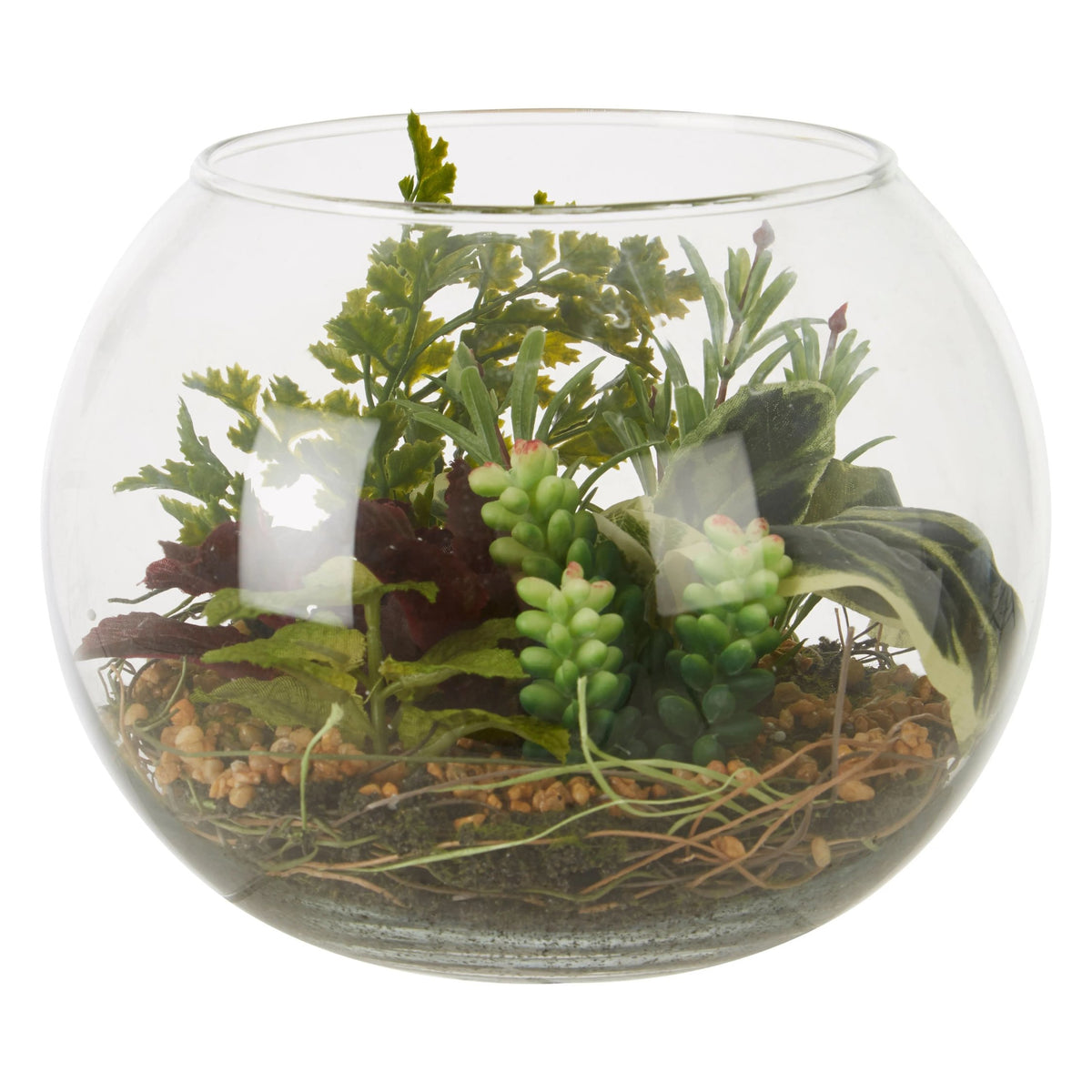 Agropoli Large Terranium