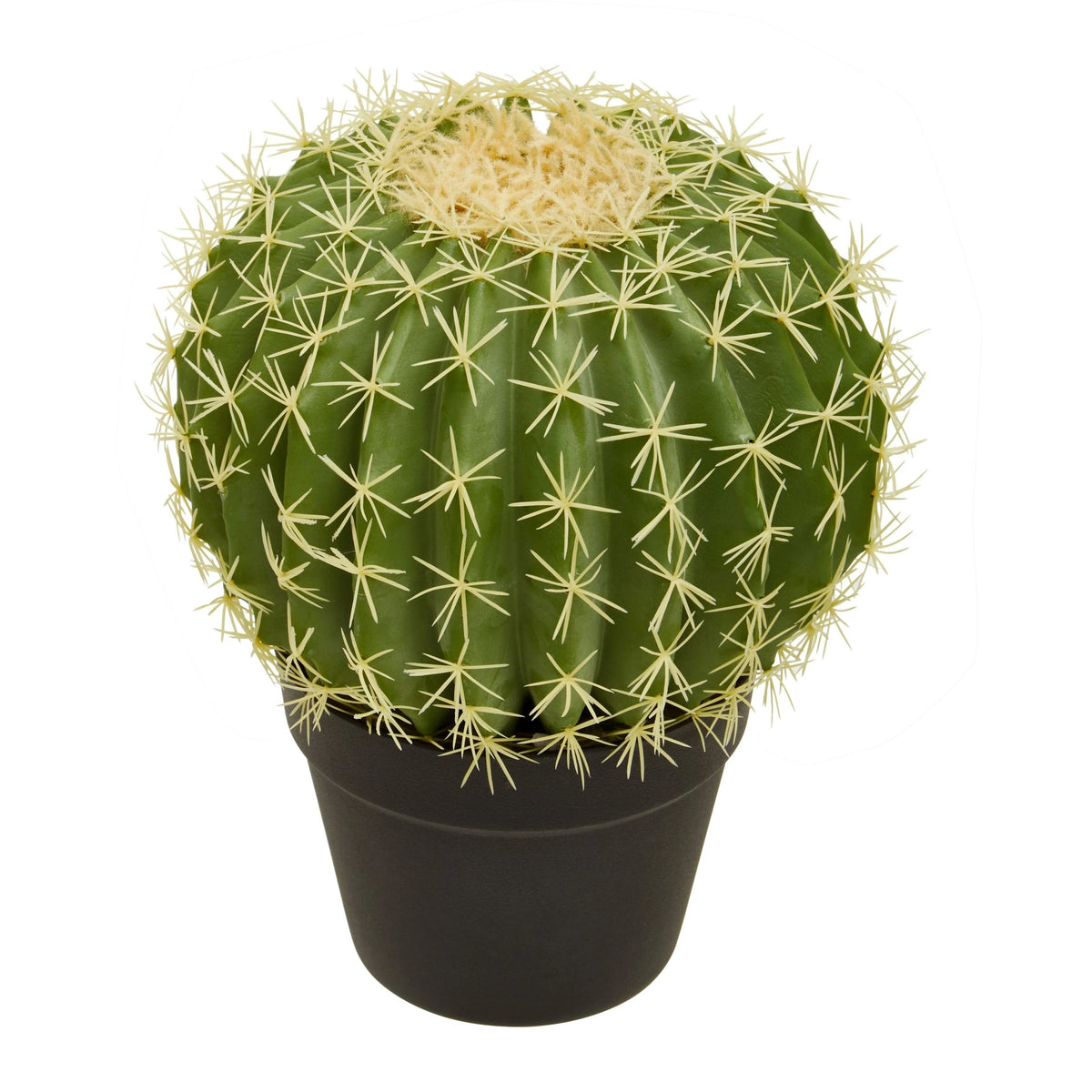 Telvyn Round Cactus Pot