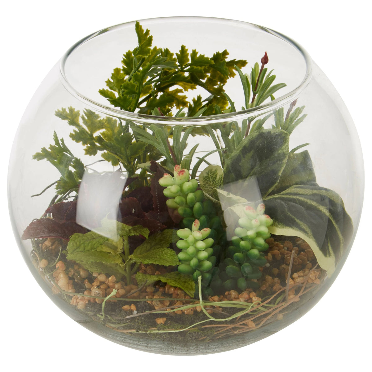 Agropoli Large Terranium