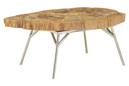 Bagnoregio Natural Petrified Coffee Table image 2