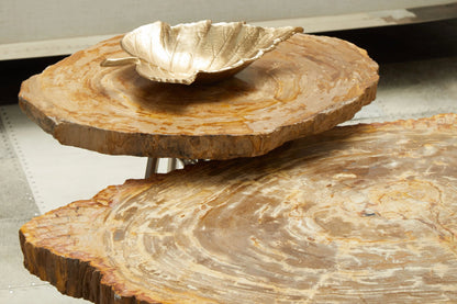 Bagnoregio Natural Petrified Coffee Table image 6