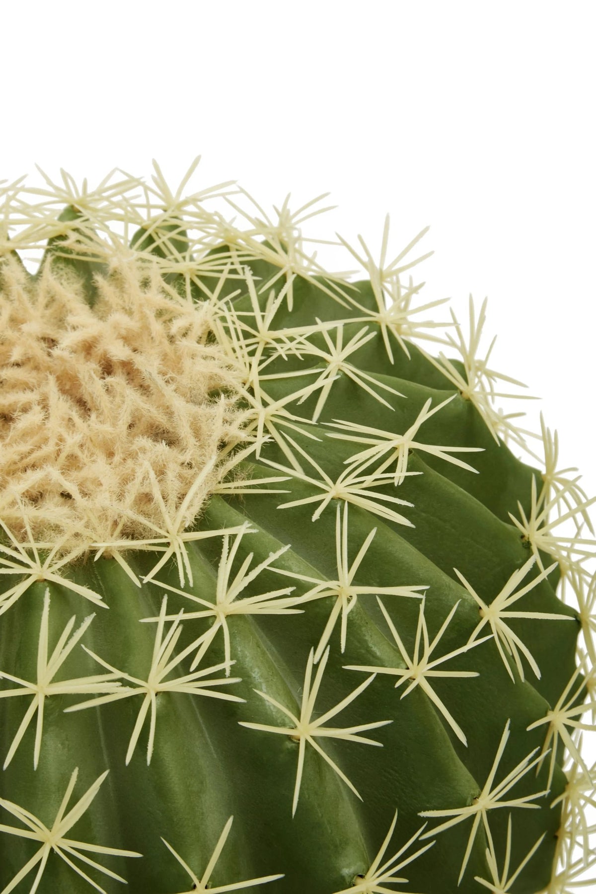 Telvyn Round Cactus Pot