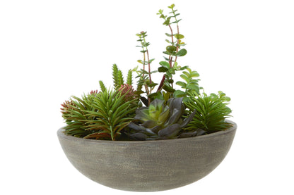 Froya Mixed Succulent Stone Pot