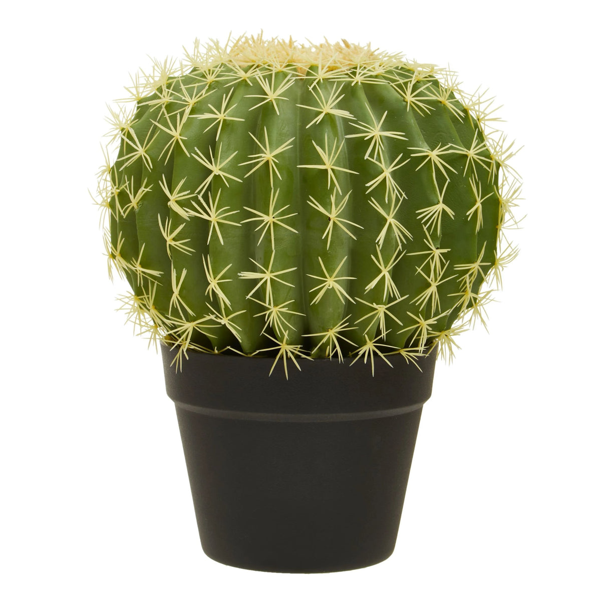 Telvyn Round Cactus Pot
