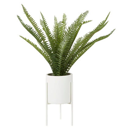 Alvdvik Fern White Cement Pot Stand