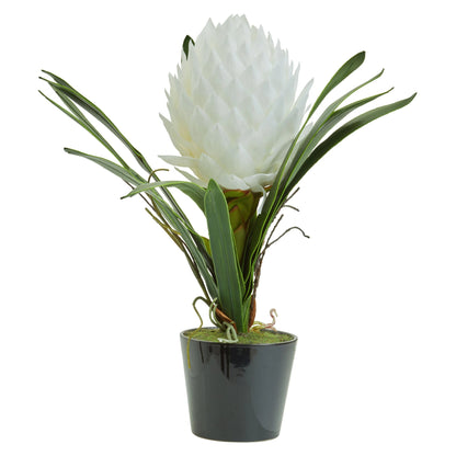 Mantova White Tropical Plant Black Pot