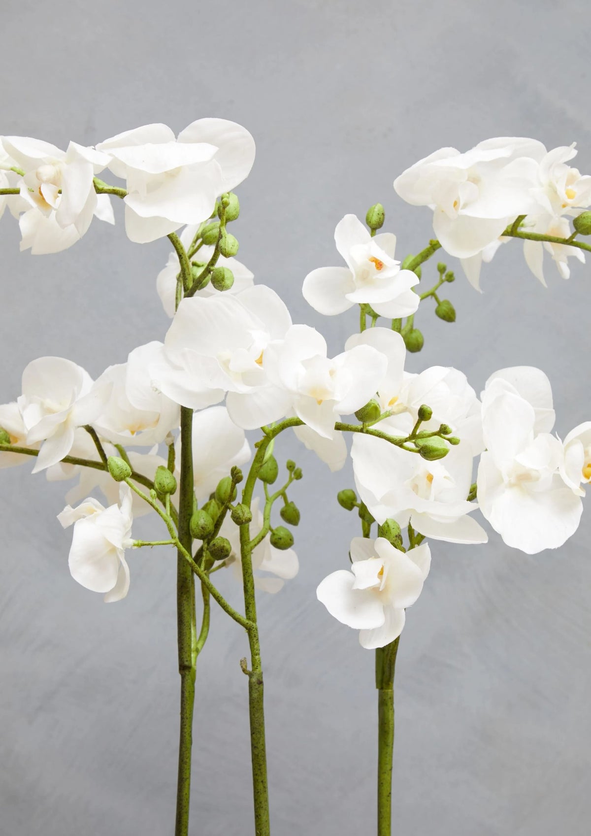 Gjovik White Orchid Plant Rectangular Pot