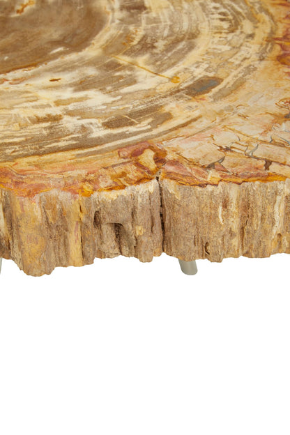 Bagnoregio Natural Petrified Coffee Table image 9