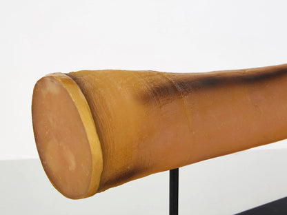 Brelwyn Large Natural Horn Ornament