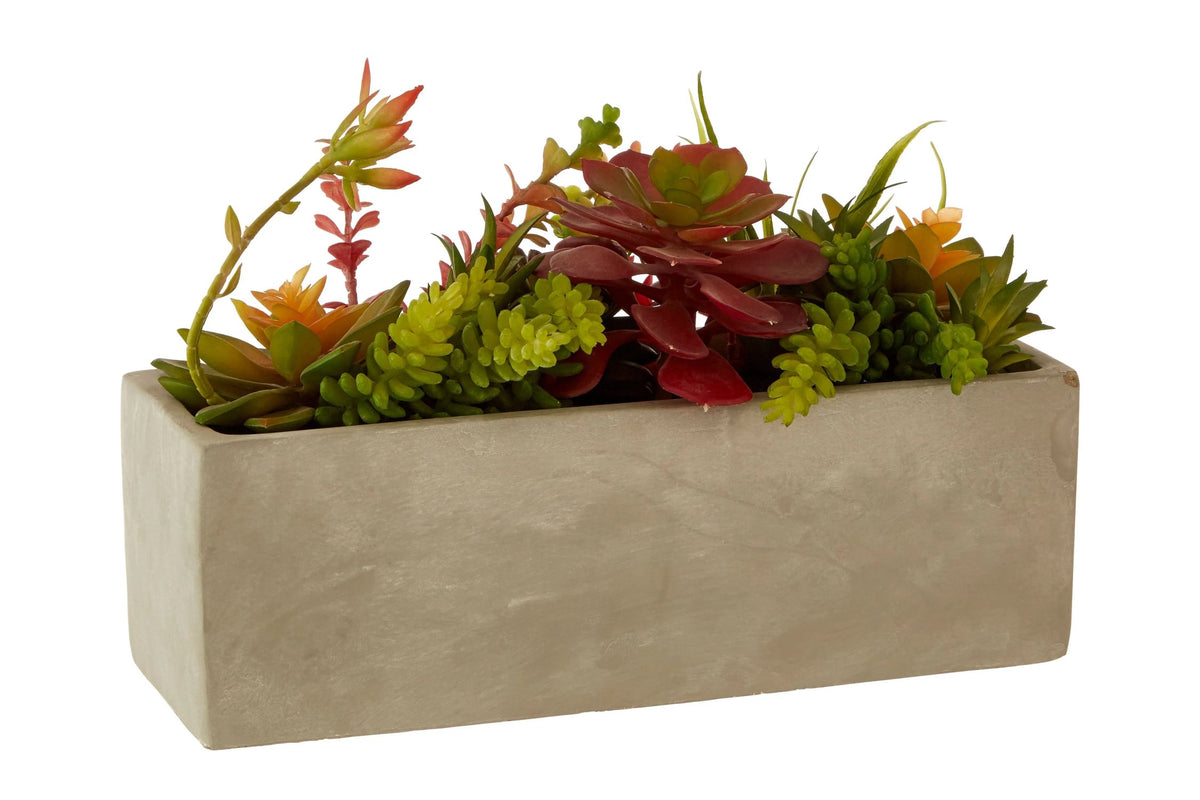 Halquin Mixed Succulents Cement Pot