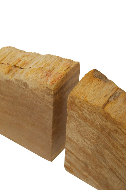 Dudevika Set Petrified Wood Natural Bookends image 12