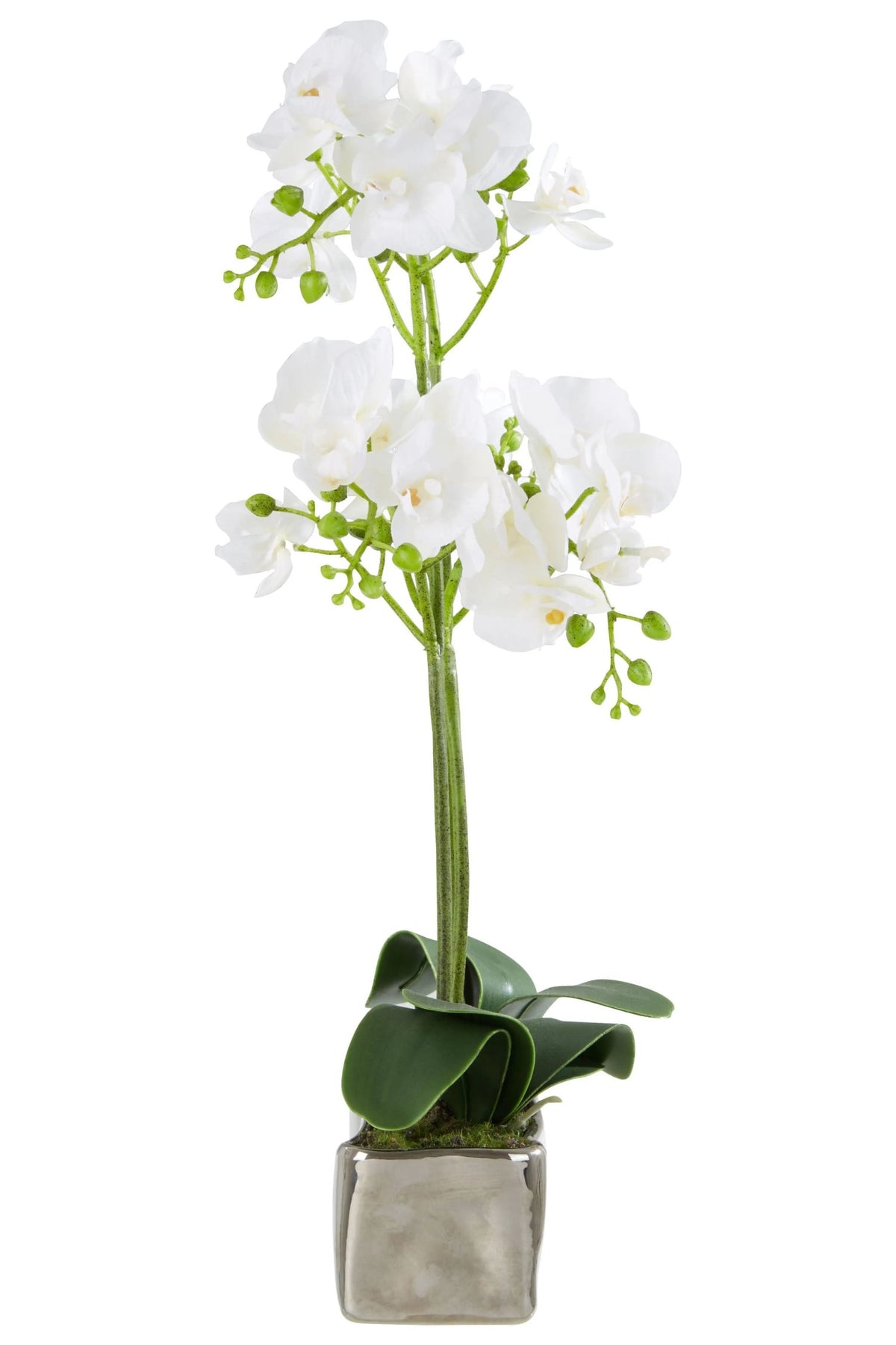 Gjovik White Orchid Plant Rectangular Pot