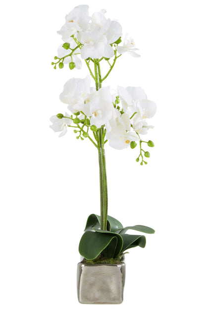 Gjovik White Orchid Plant Rectangular Pot
