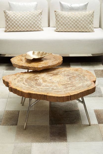 Bagnoregio Natural Petrified Coffee Table image 5