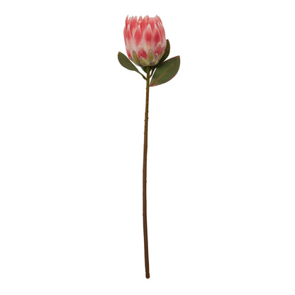 Time Pink Protea Flower Stem