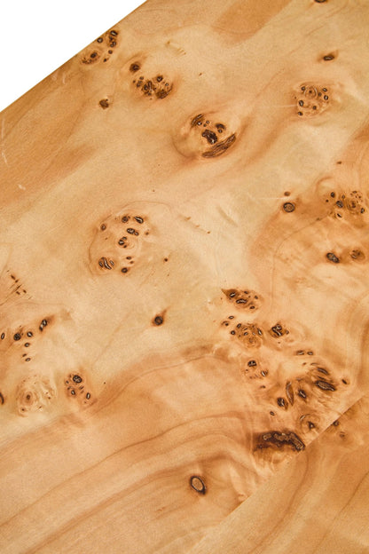 Henrik Burl Wood Coffee Table image 13