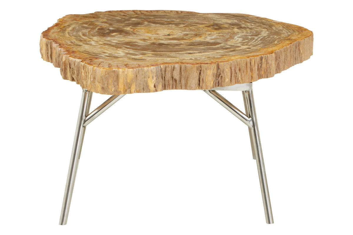 Bagnoregio Natural Petrified Coffee Table image 3