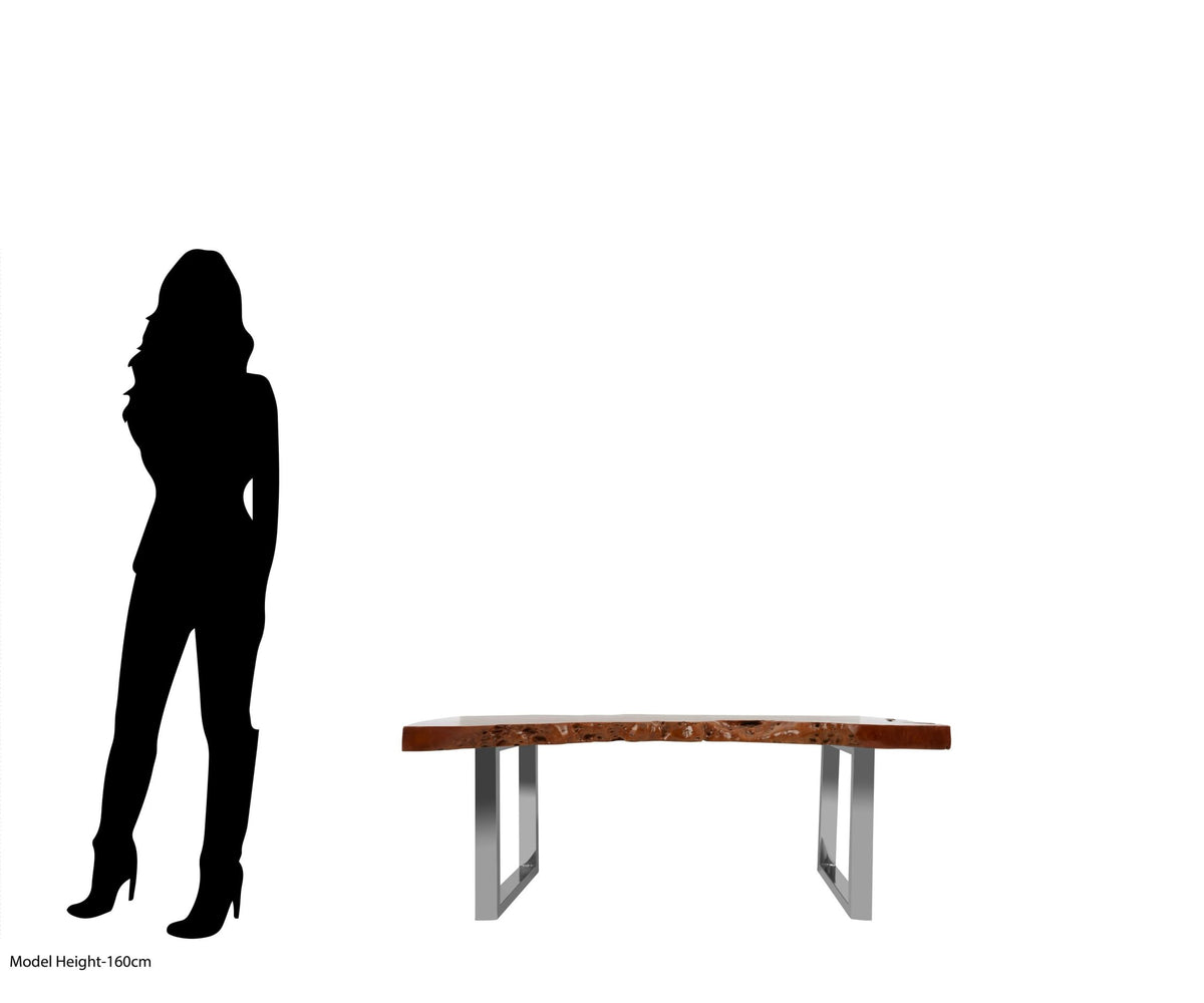 Eidfjord Longan Wood Coffee Table image 6